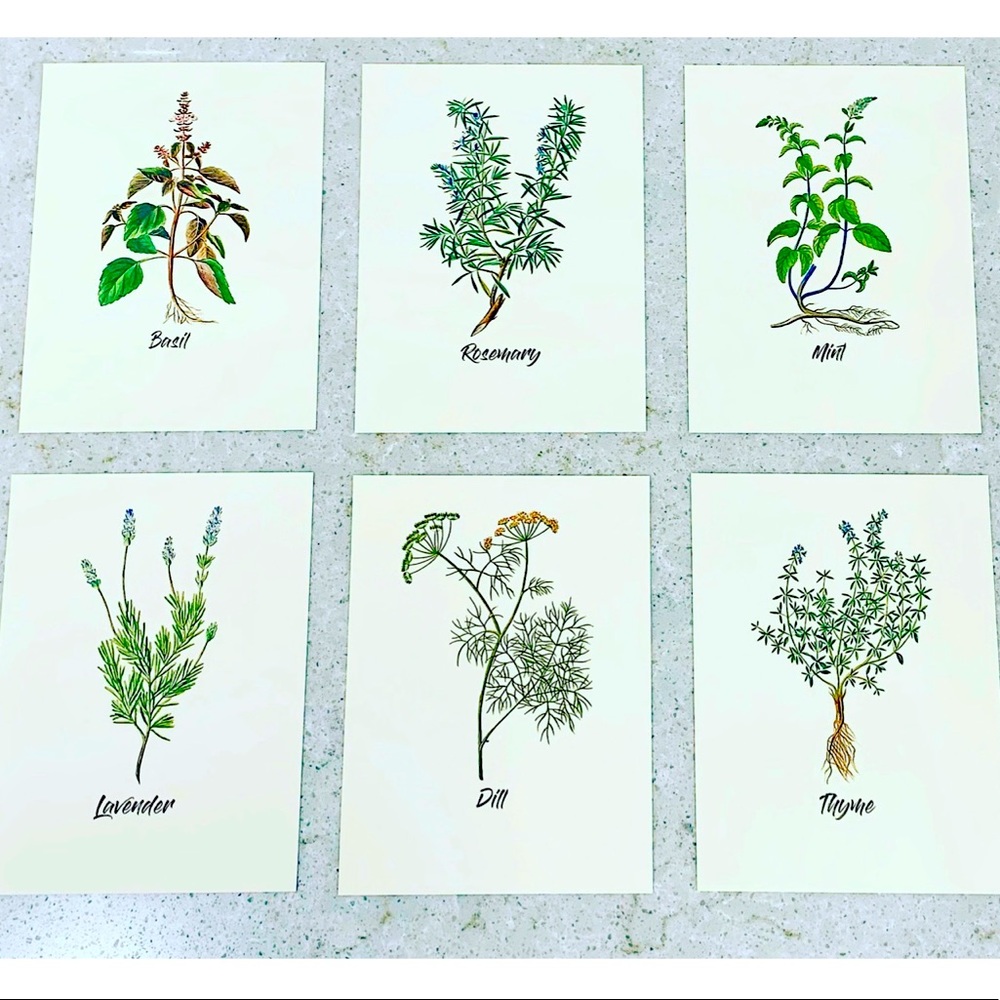 Six Spring Herb Prints (5.5”x7.5”)
